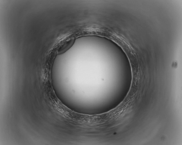 X0000097881207200803141312