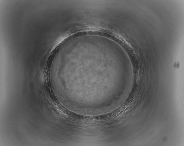 X0000097881208200803141312