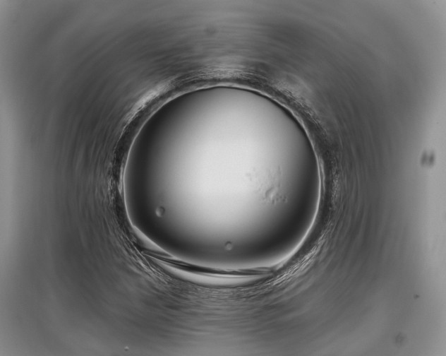 X0000097881210200803141312