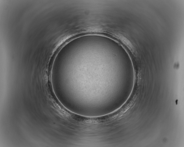 X0000097881212200803141313