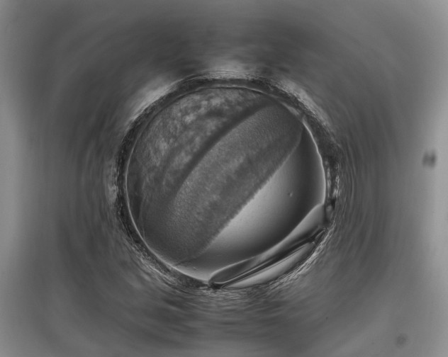 X0000097881213200803141313