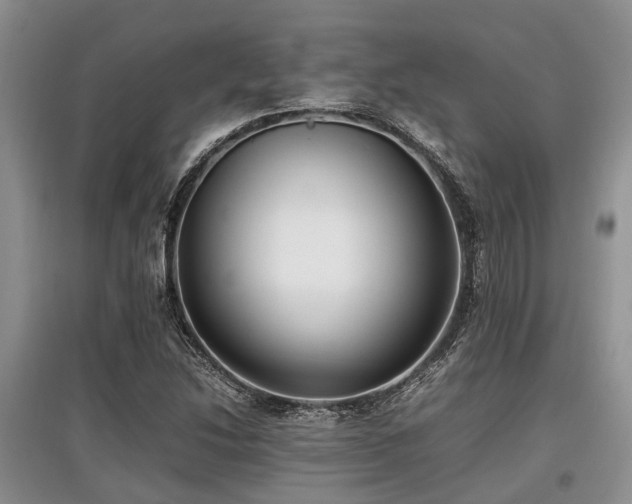 X0000097881214200803141313