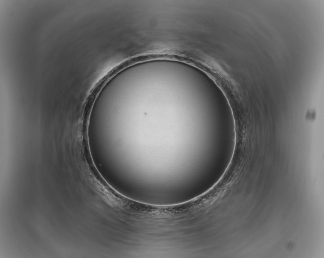X0000097881216200803141313