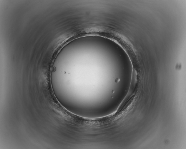 X0000097881217200803141313