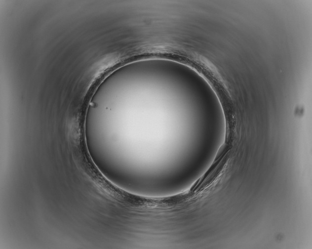 X0000097881218200803141313