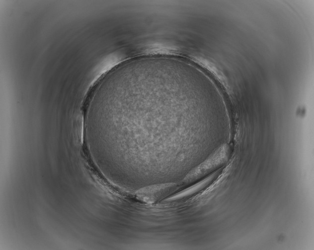 X0000097881219200803141313