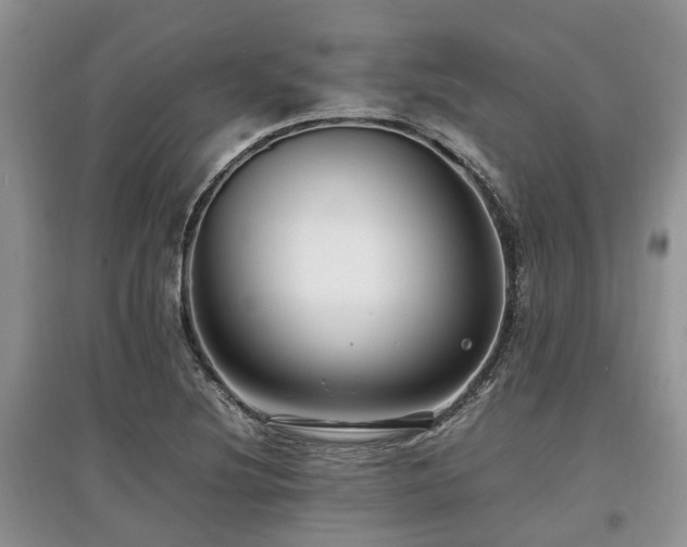 X0000097881220200803141313