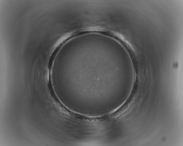 X0000097881221200803141313
