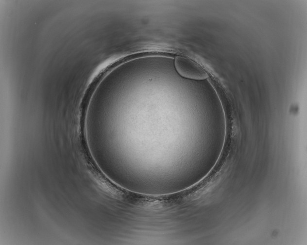X0000097881222200803141313