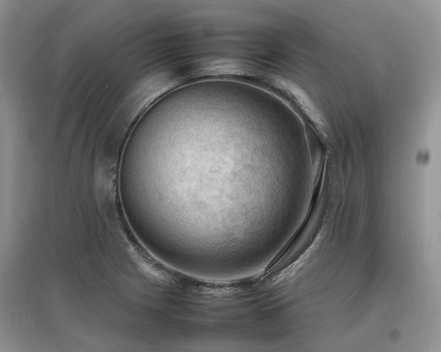 X0000097881225200803141313