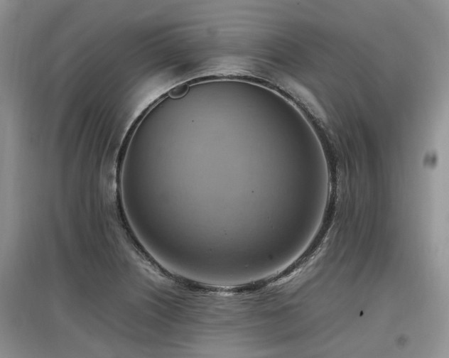 X0000097881226200803141313