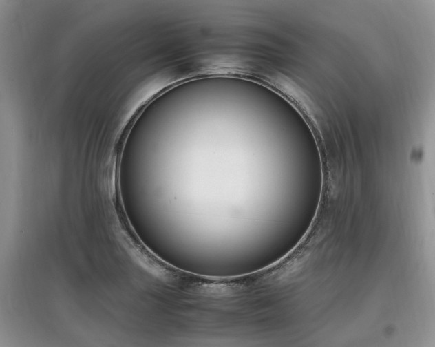 X0000097881227200803141313