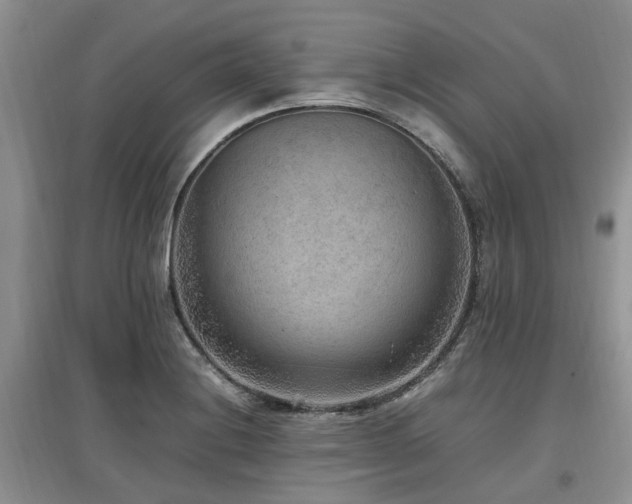 X0000097881228200803141313