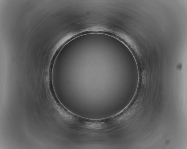 X0000097881229200803141313
