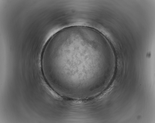 X0000097881230200803141313