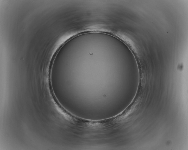 X0000097881231200803141313