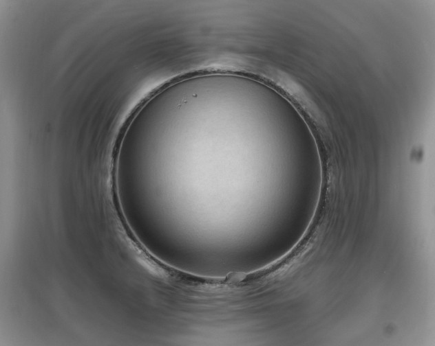 X0000097881232200803141313