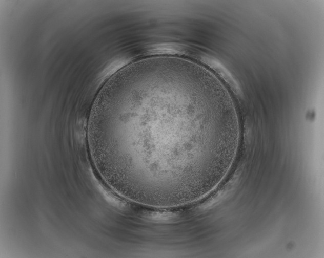 X0000097881233200803141313