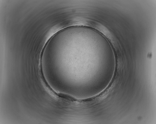 X0000097881234200803141313