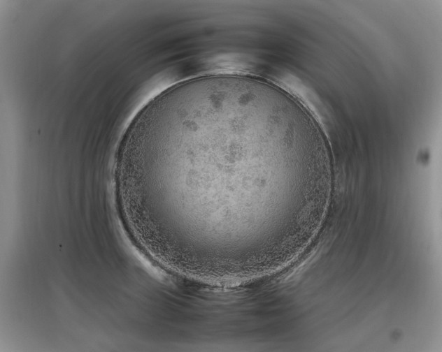 X0000097881235200803141313