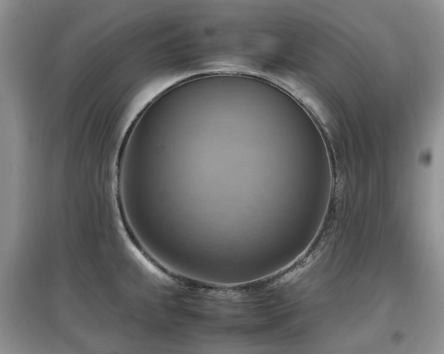 X0000097881239200803141313
