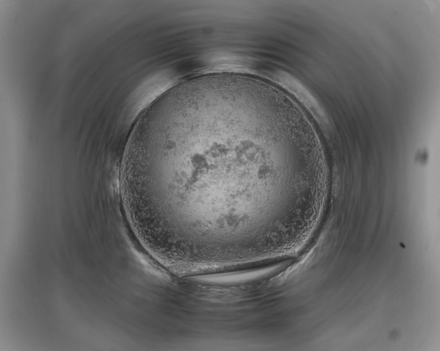 X0000097881241200803141313