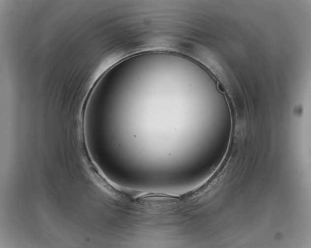 X0000097881242200803141313