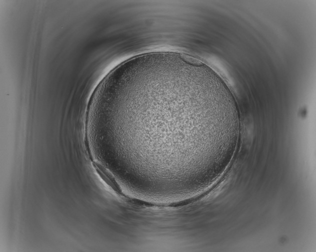 X0000097881244200803141313