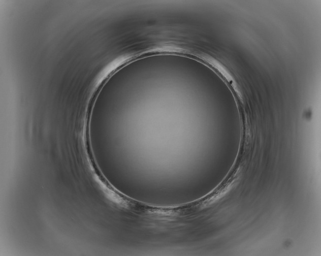 X0000097881245200803141313