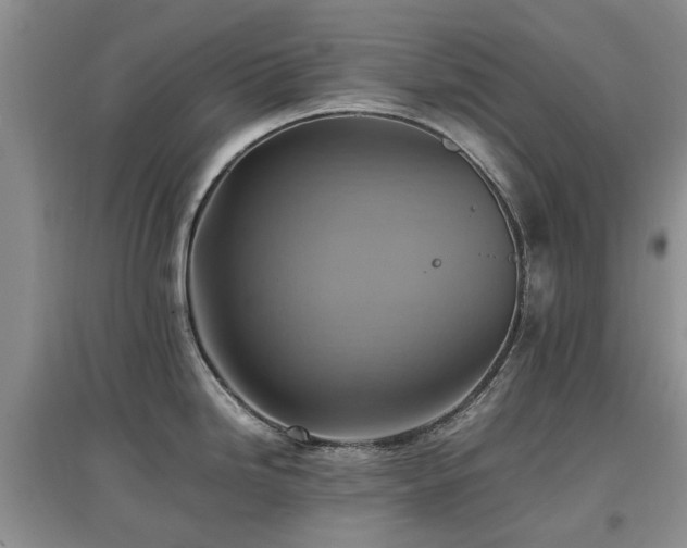 X0000097881246200803141313