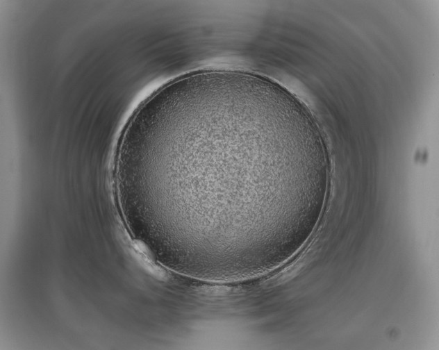 X0000097881248200803141313