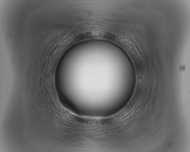 X0000097881249200803141312