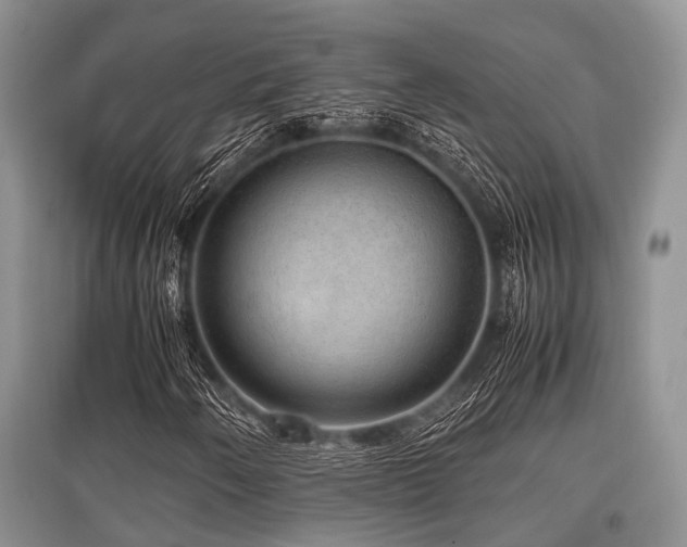 X0000097881250200803141312