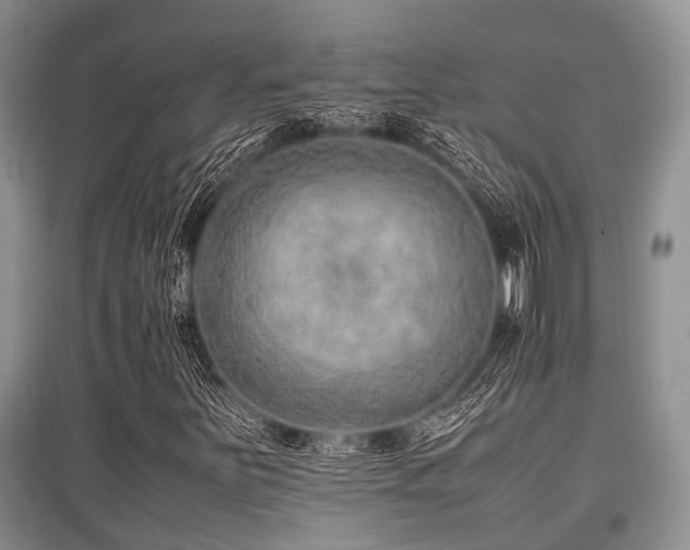 X0000097881251200803141312