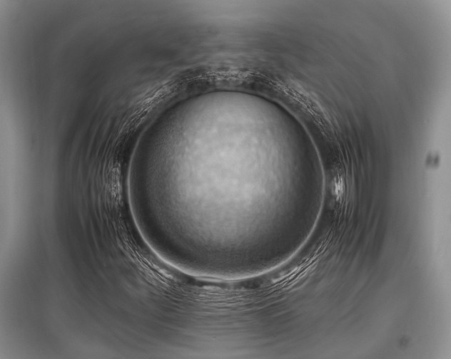 X0000097881252200803141312
