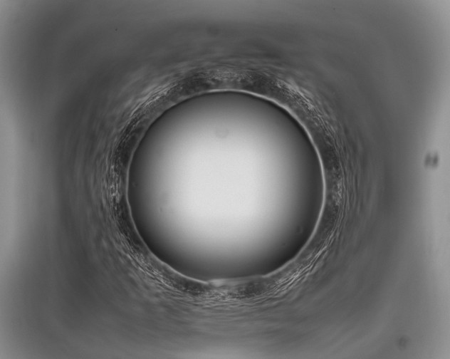 X0000097881253200803141312