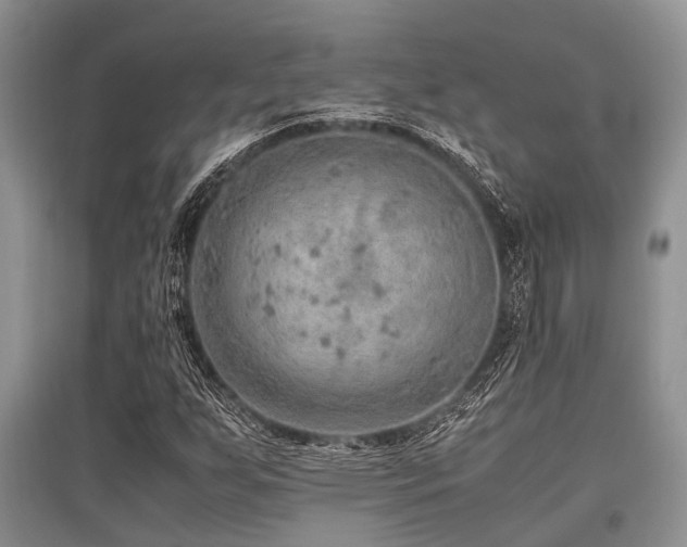 X0000097881255200803141312
