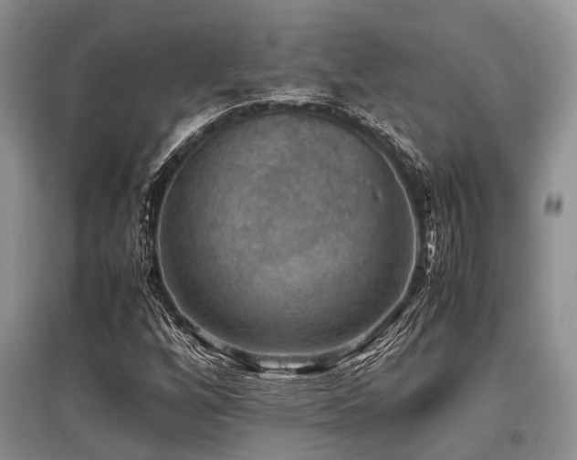 X0000097881256200803141312