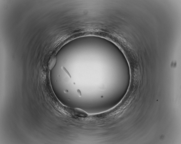 X0000097881257200803141312