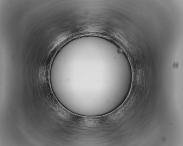 X0000097881258200803141312