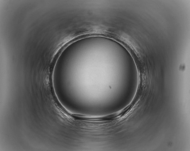 X0000097881260200803141312