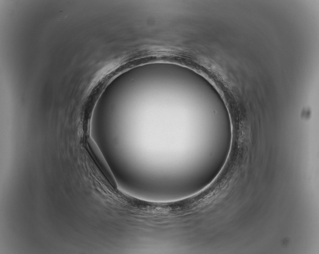 X0000097881261200803141312