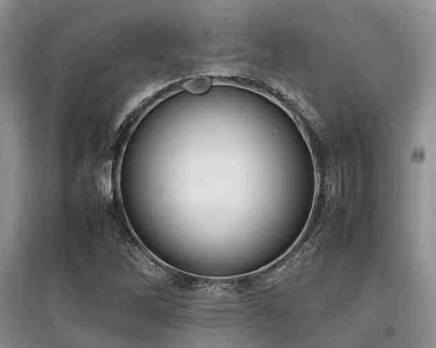 X0000097881262200803141312