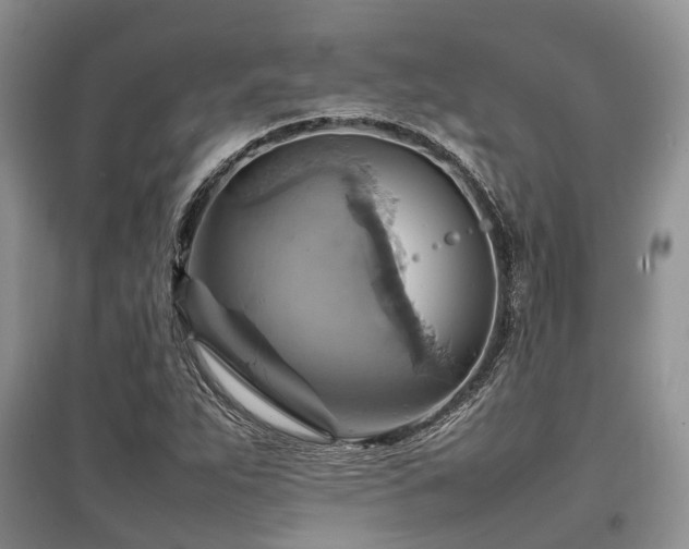 X0000097881263200803141312