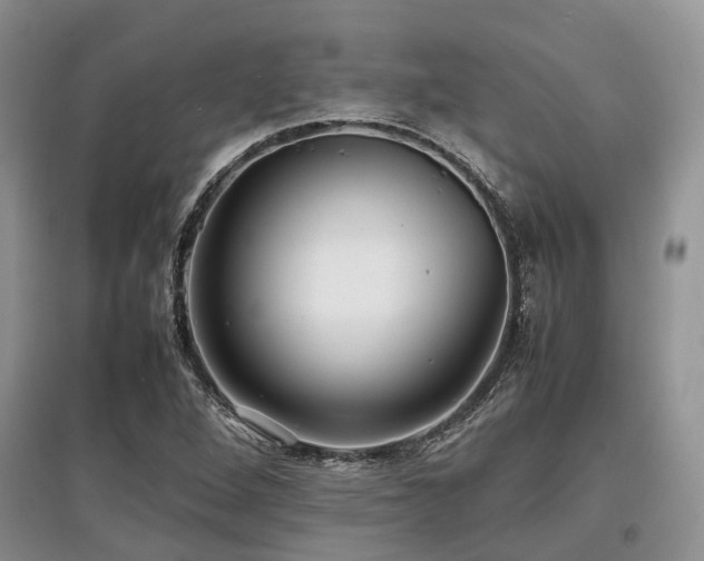 X0000097881264200803141312