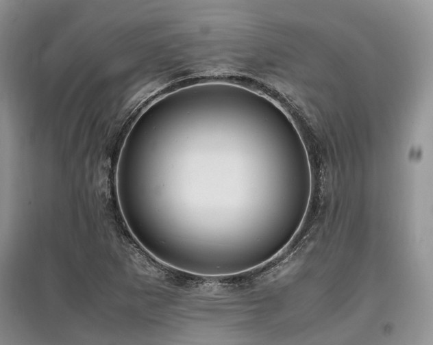 X0000097881265200803141312