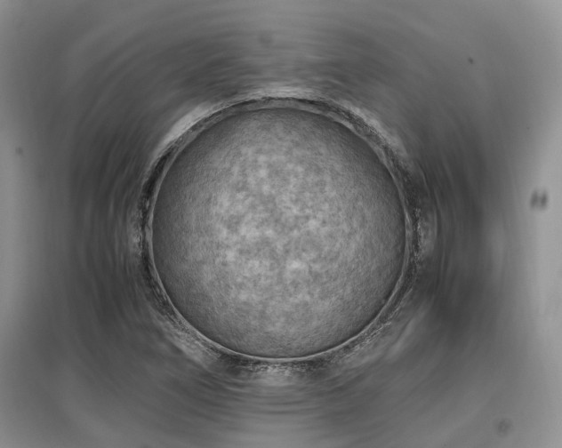 X0000097881266200803141312