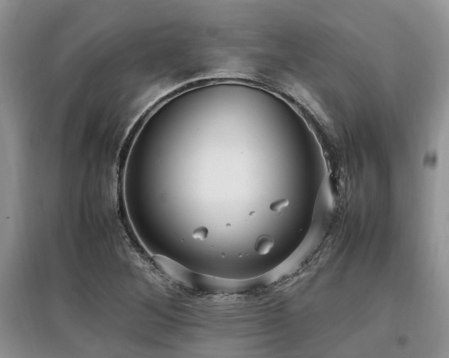 X0000097881268200803141312