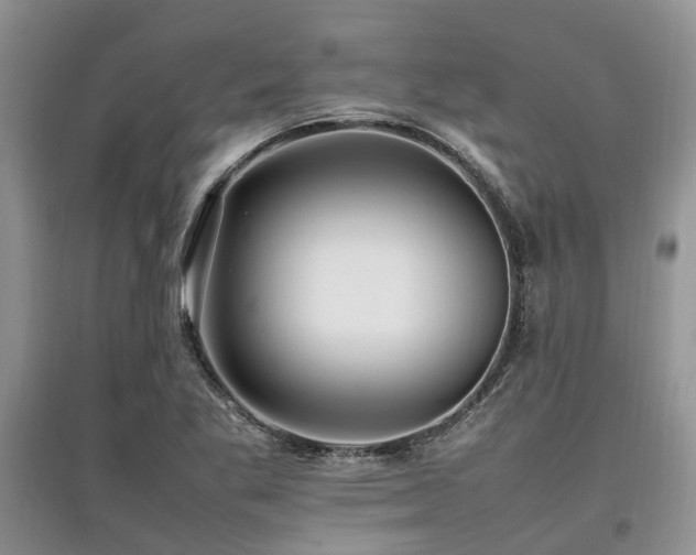 X0000097881269200803141312