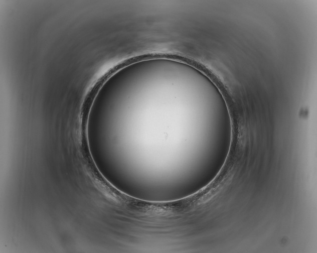 X0000097881270200803141312